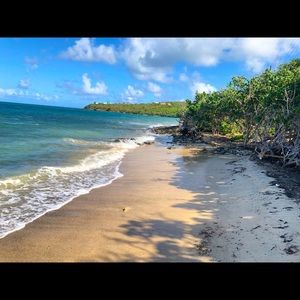 Meet your Posher, Wanda